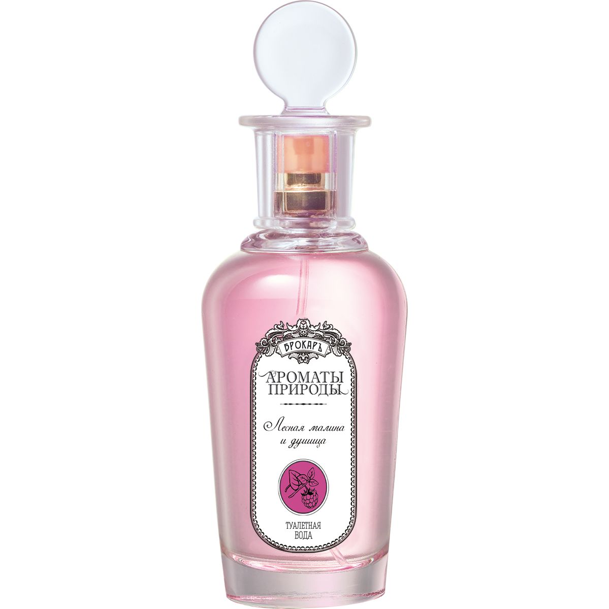 ЛЕСНАЯ МАЛИНА И ДУШИЦА