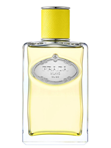 Infusion D'YLANG