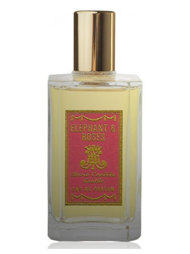 ELEPHANT & ROSES
