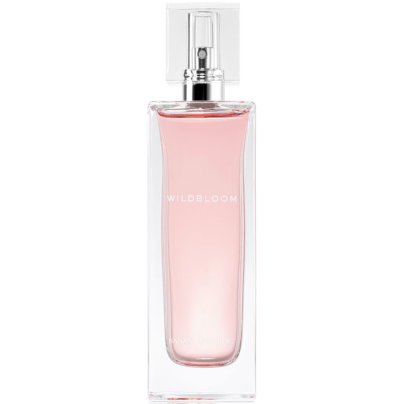 WILDBLOOM