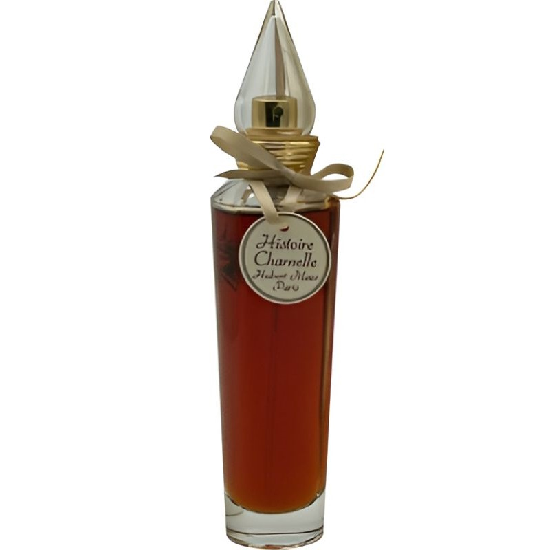 HISTOIRE CHARNELLE