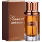 AMBRE MALAKI