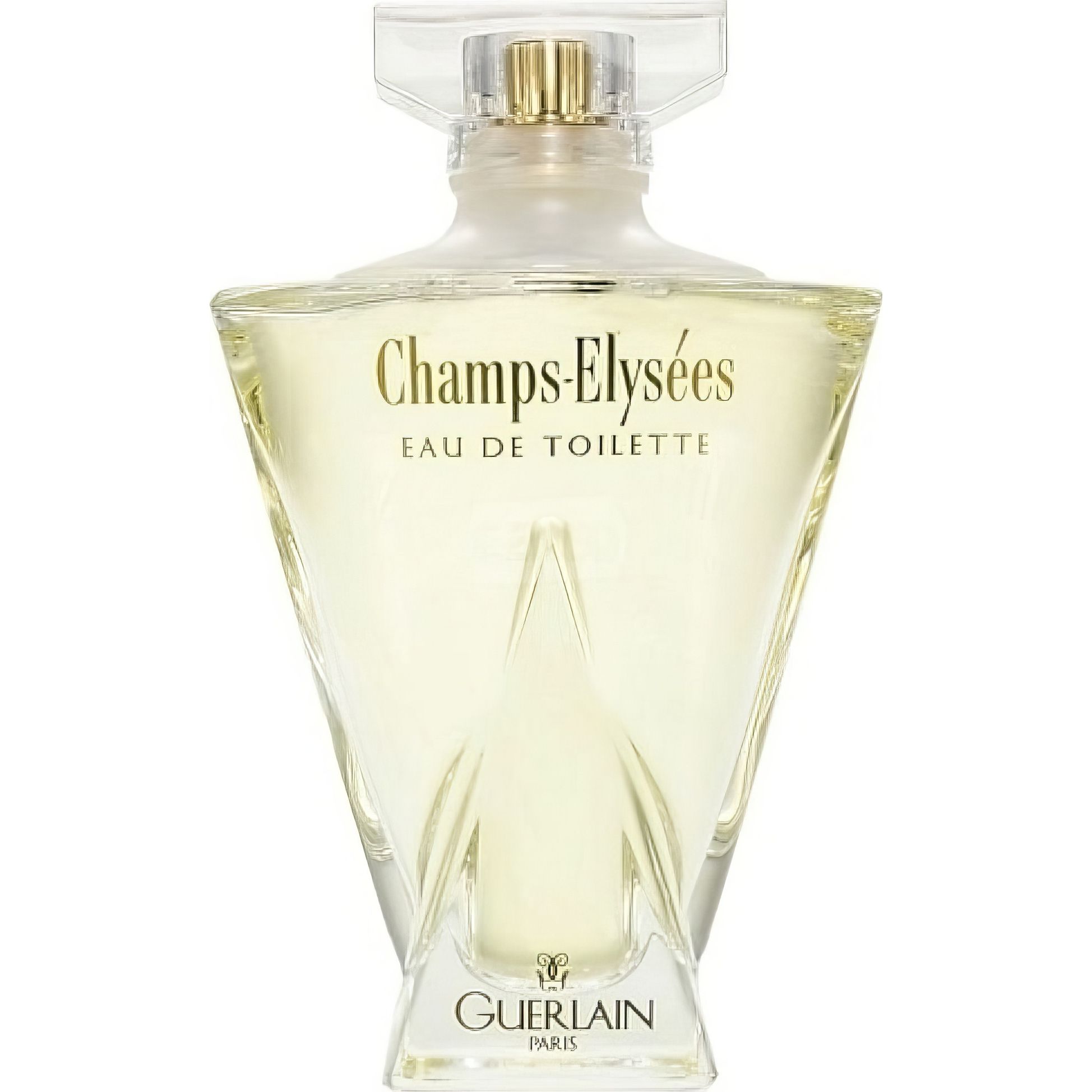 CHAMPS ELYSEES TOO MUCH