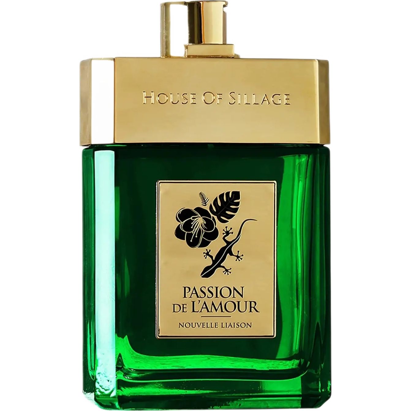 PASSION DE L'AMOUR NOUVELLE LIAISON