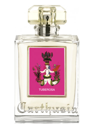TUBEROSA