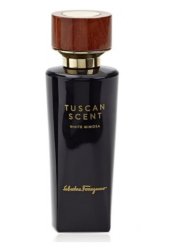 Tuscan Soul WHITE MIMOSA