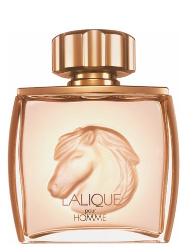 EQUUS  