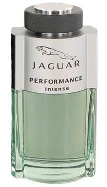 PERFORMANCE INTENSE