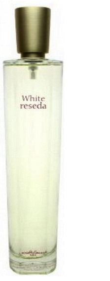 WHITE RESEDA