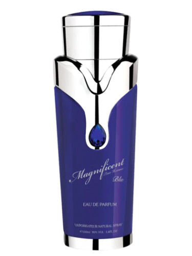 MAGNIFICENT BLUE POUR HOMME