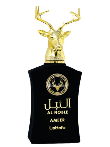 AMEER