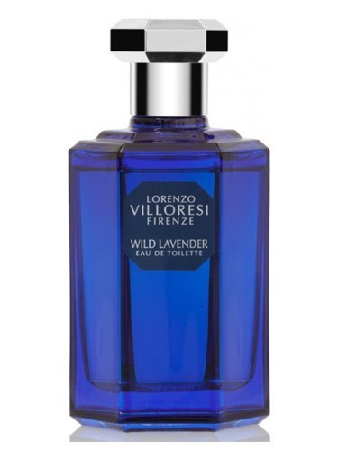 WILD LAVENDER