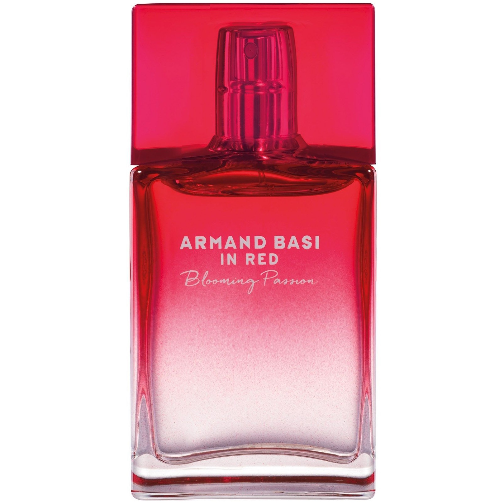 IN RED BLOOMING PASSION 