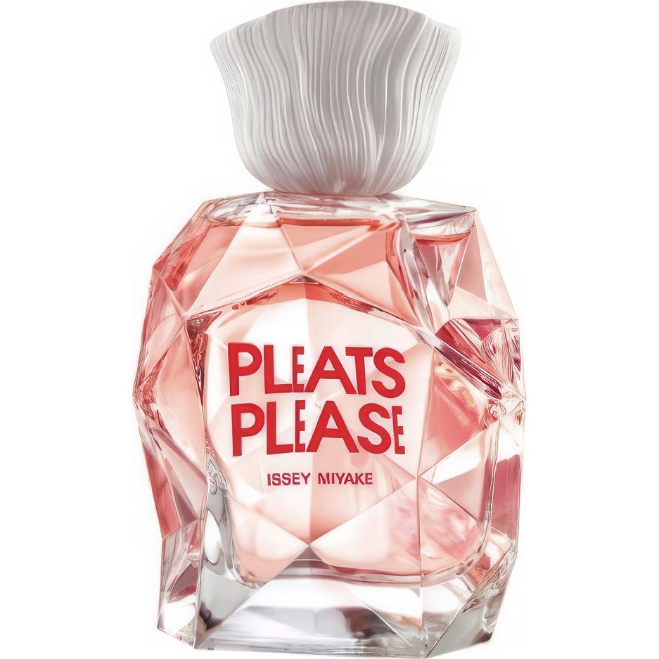 PLEATS PLEASE