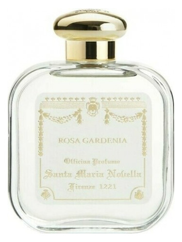  ROSA GARDENIA  