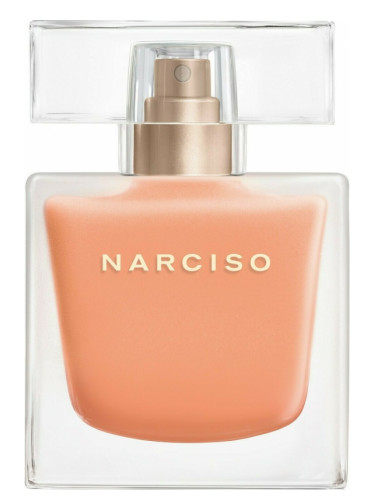 Narciso AMBREE 