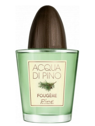 ACQUA DI PINO FOUGERE
