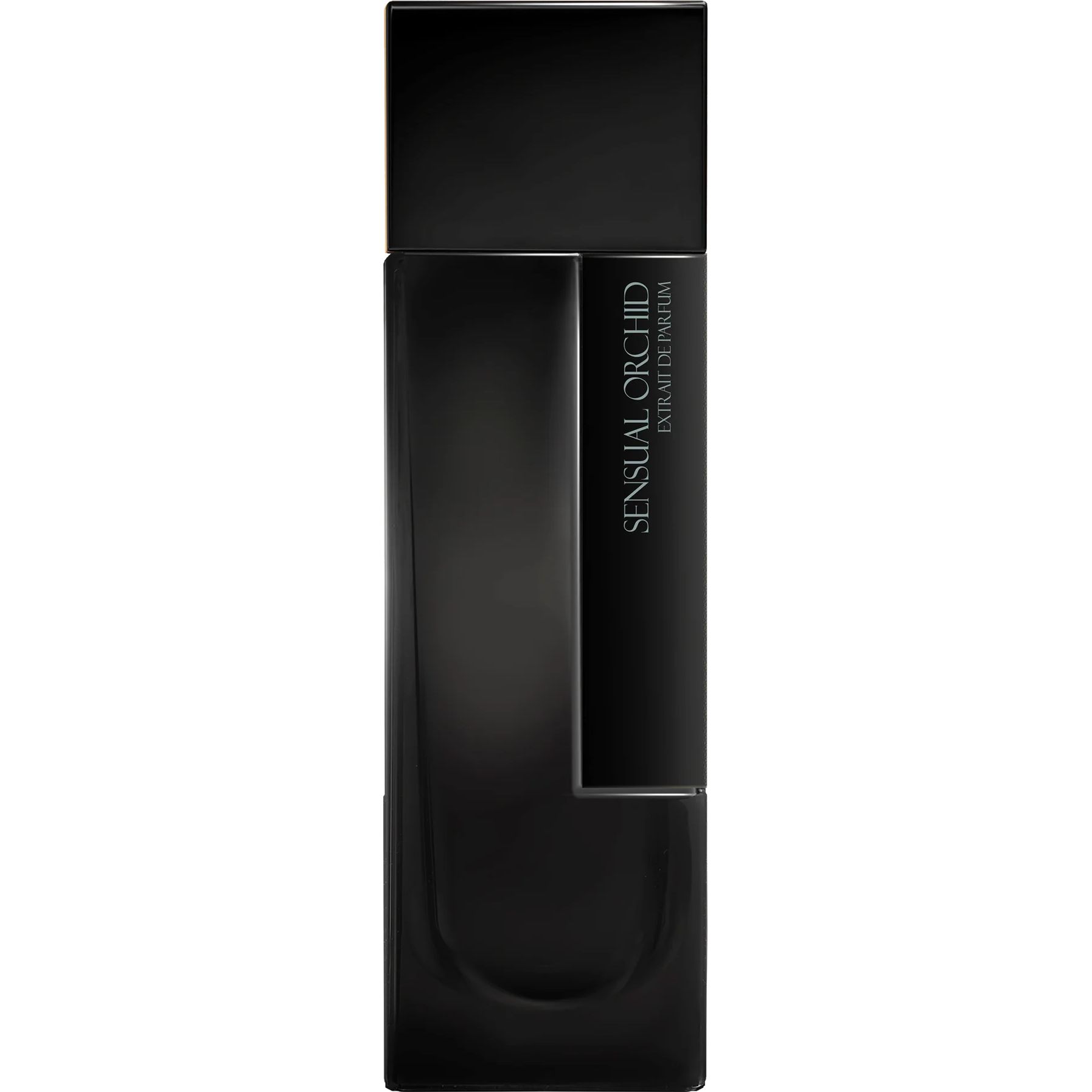SENSUAL ORCHID