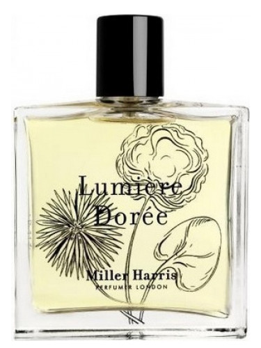 LUMIERE DOREE