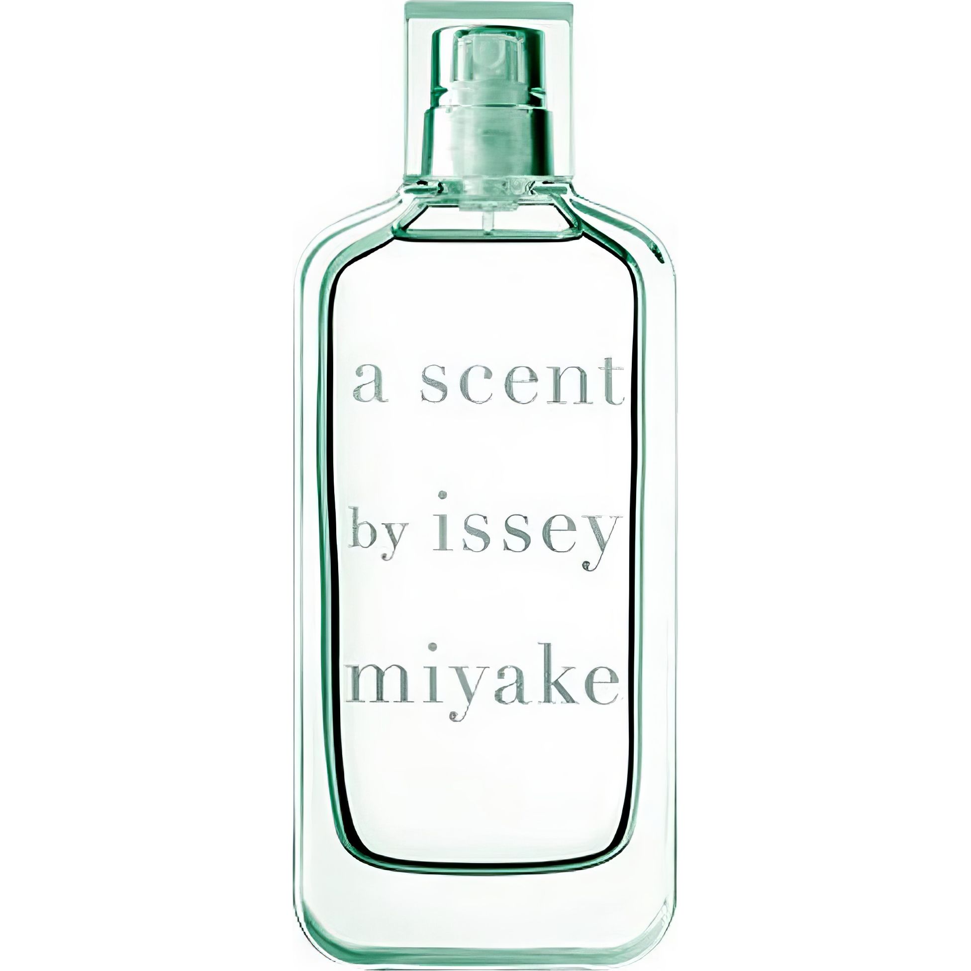 A SCENT