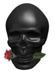 SCULL & ROSES