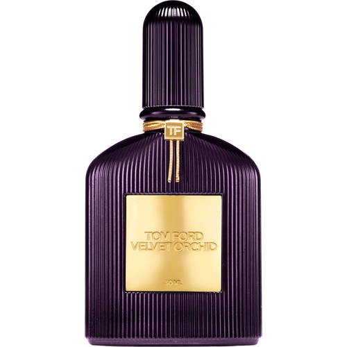 Velvet ORCHID