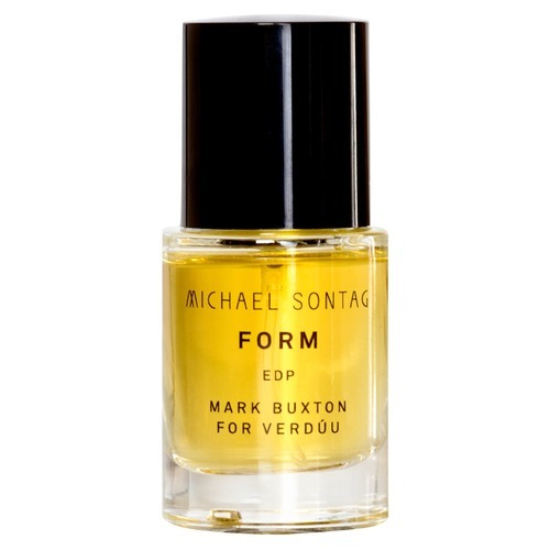 MICHAEL SONTAG FORM