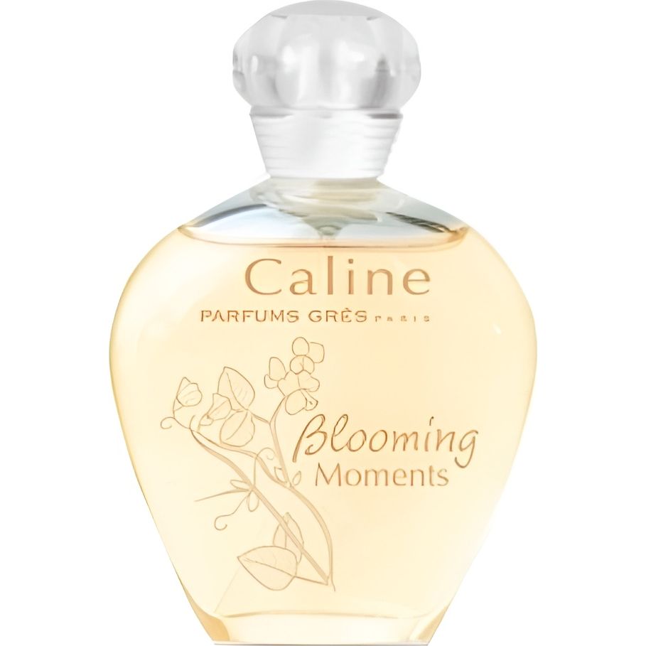 CALINE BLOOMING MOMENTS