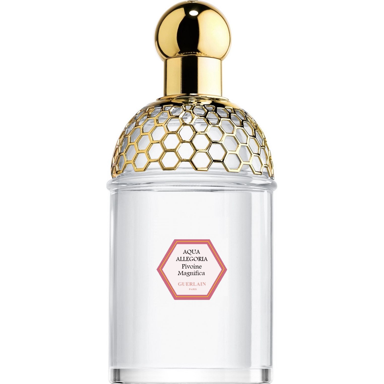 Aqua Allegoria PIVONE MAGNIFICA