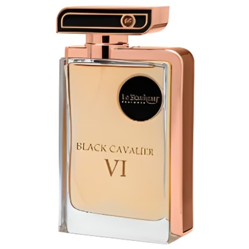 BLACK CAVALIER VI men