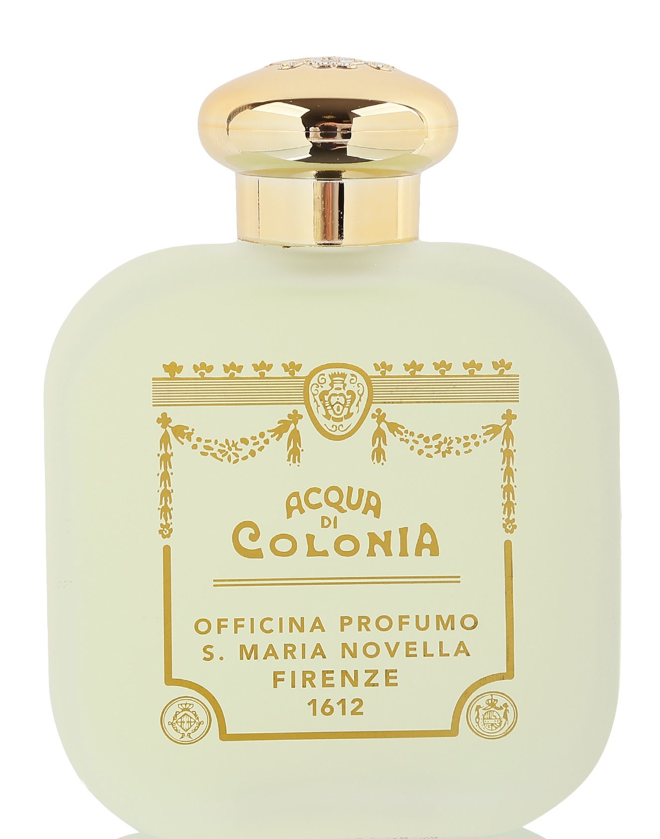 GINESTRA (BLOOM)