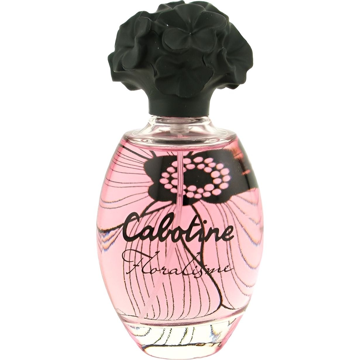 Cabotine FLORALISME