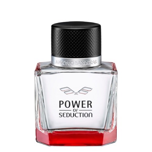 POWER OF Seduction  