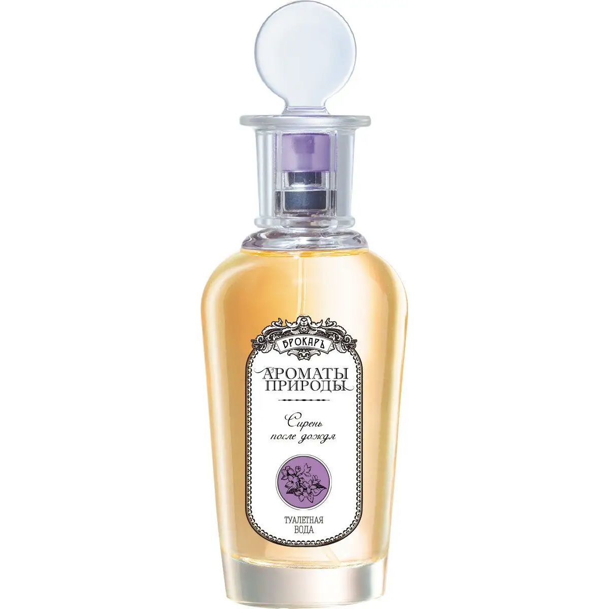 LILAC AFTER THE RAIN - СИРЕНЬ ПОСЛЕ ДОЖДЯ