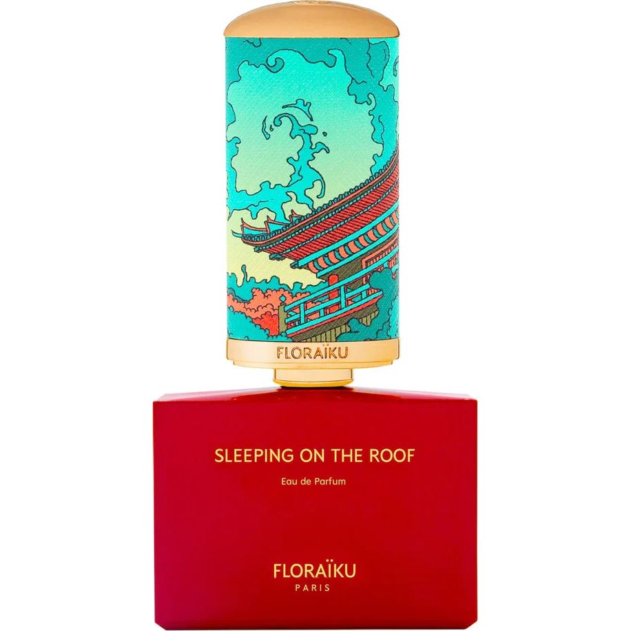 SLEEPING ON THE ROOF