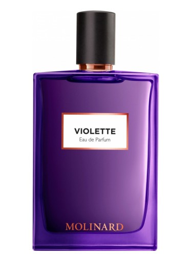 VIOLETTE