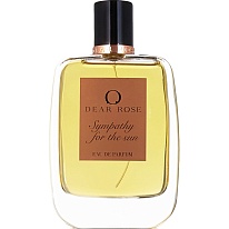 SYMPATHY FOR THE SUN