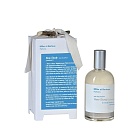  NEW STUDY (POSTCARD)