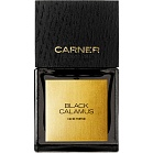 BLACK CALAMUS