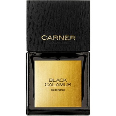 BLACK CALAMUS