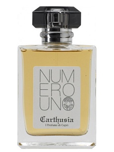 NUMERO UNO