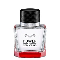 POWER OF Seduction   POWER OF Seduction