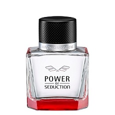 POWER OF Seduction  