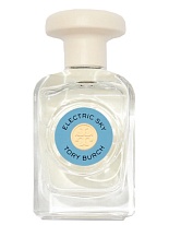 ELECTRIC SKY ELECTRIC SKY