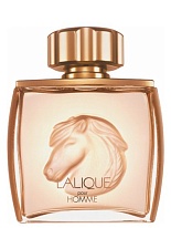EQUUS   EQUUS