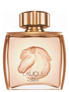 EQUUS  