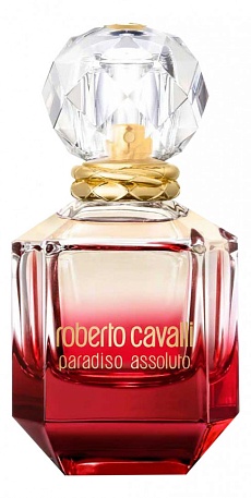 Paradiso ASSOLUTO