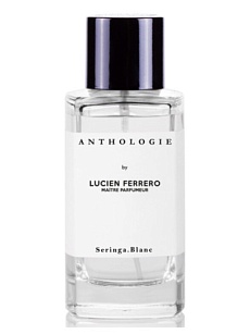 SERINGA BLANC
