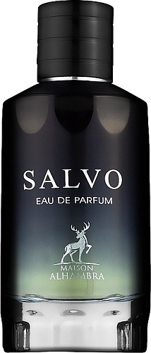 SALVO men  