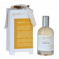 STUDY No. 23/ NEWSLETTER